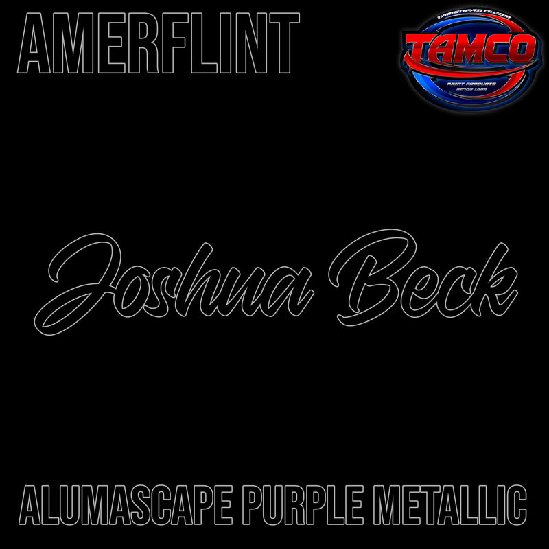 Joshua Beck | Alumascape Purple Metallic | OEM Amerflint II Series Single Stage