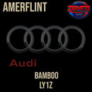 Tamco Paint Audi Bamboo LY1Z OEM Amerflint