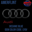 Tamco Paint Audi Oceanic Blue Code LY6V OEM Amerflint