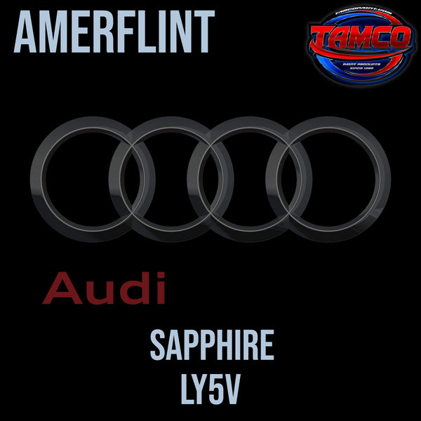 Tamco Paint Audi Sapphire LY5V OEM Amerflint