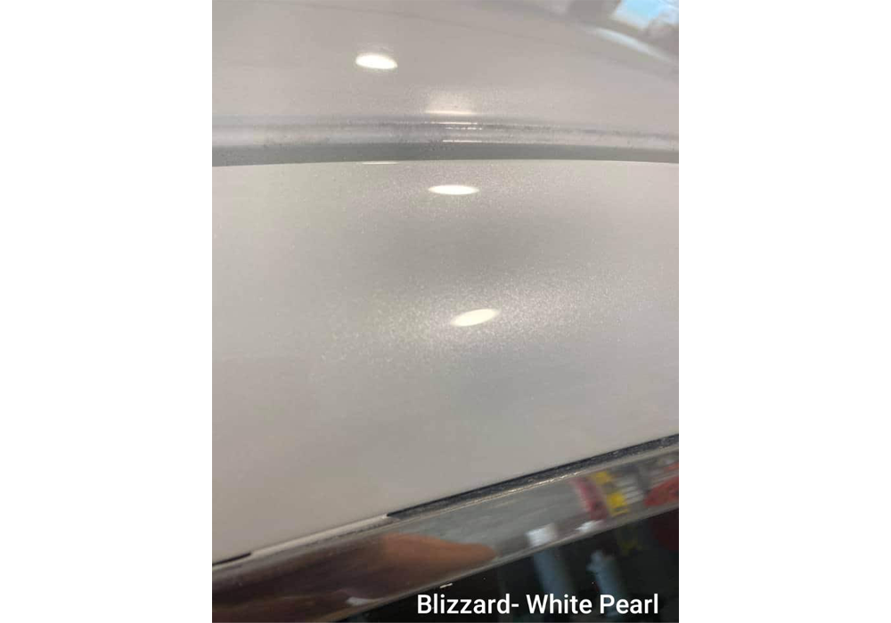 Tamco Paint Blizzard of Ozz Blue Pearl Project Photos