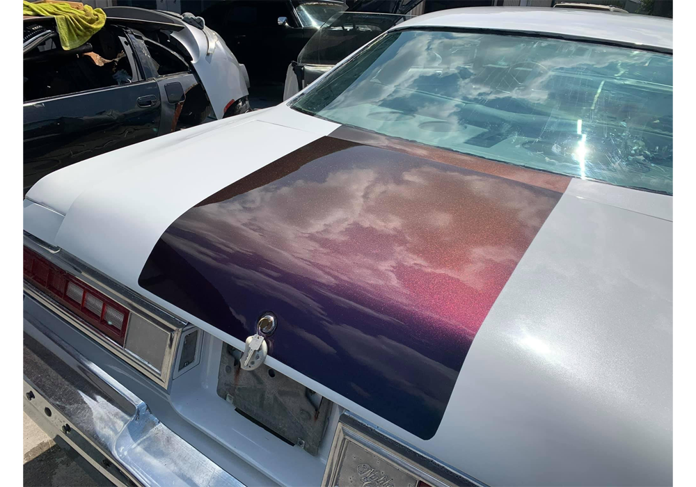 Tamco Paint Blizzard of Ozz Blue Pearl Project Photos