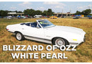Blizzard Of Ozz White Pearl