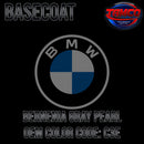 BERNENIA GRAY PEARL OEM BASECOAT