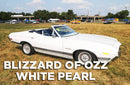 Tamco Paint Blizzard of Ozz White Pearl on 1972 Ford Gran Torino