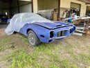 Tamco Paint Bluetiful on 1973 Pontiac Firebird
