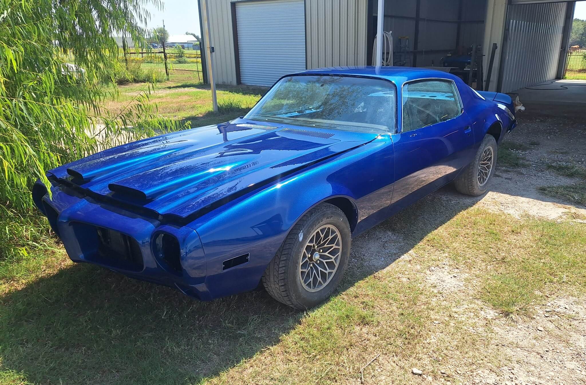 Tamco Paint Bluetiful on 1973 Pontiac Firebird