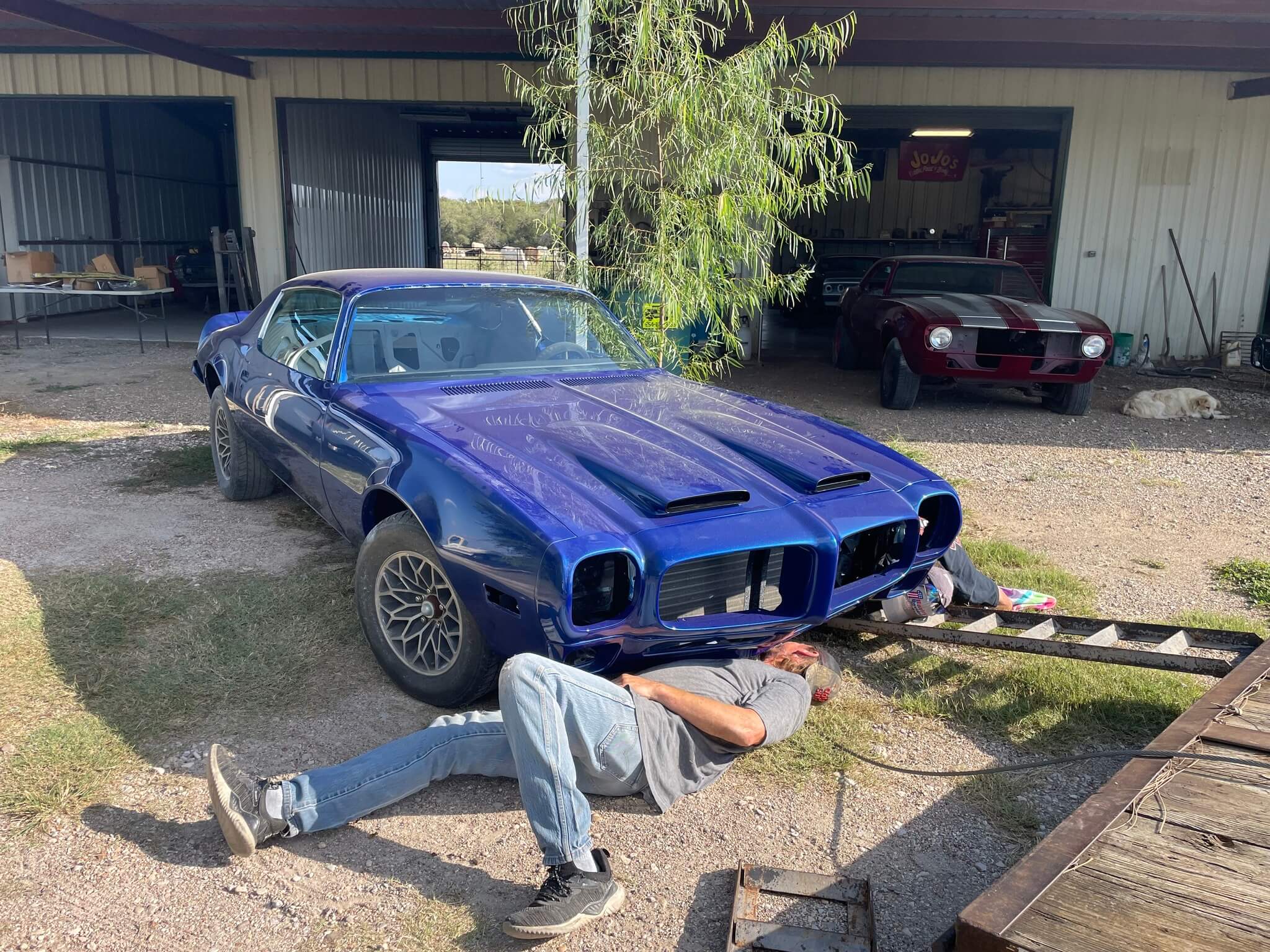 Tamco Paint Bluetiful on 1973 Pontiac Firebird