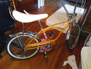 Tsmco Paint Butterscotch Schnapps Pearl on Bicycle
