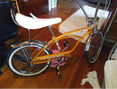 Tsmco Paint Butterscotch Schnapps Pearl on Bicycle