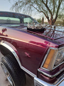 Tamco Candies CandyWhine - Candy Pearl Basecoat Car