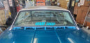 Tamco Paint Caribbean Current Pearl on 1966 Ford Thunderbird