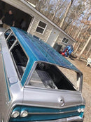 Tamco Paint Caribbean Current Pearl on car