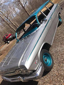 Tamco Paint Caribbean Current Pearl on car