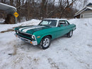 Tamco Paint Chevrolet Spring Green on 1972 Chevrolet Nova