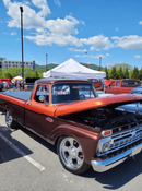 Tamco Paint Cinnamon Pearl and Dirtbag Brown on 1966 Ford F100