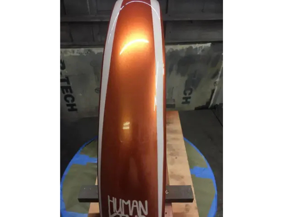Tamco Paint Copperhead in Bike