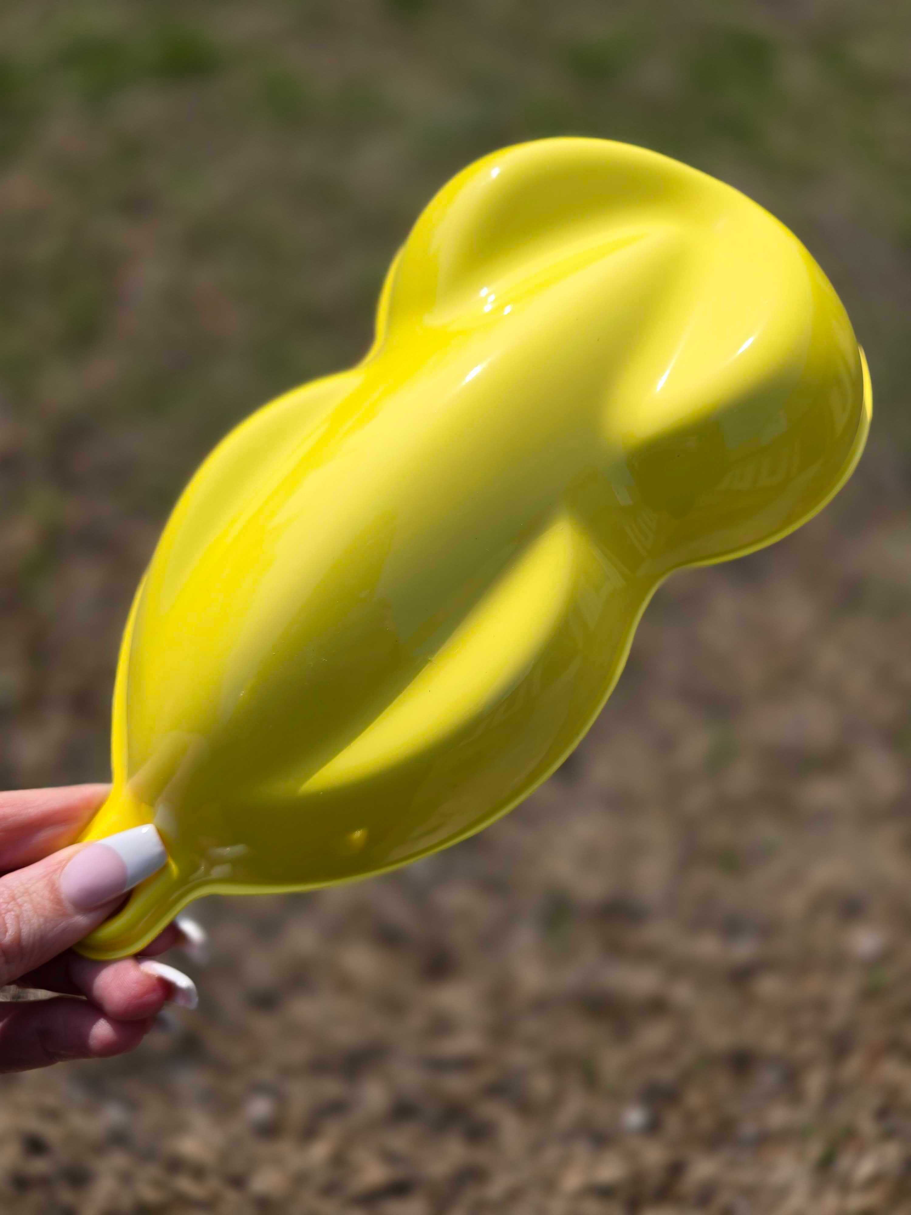 Tamco Paint Custom Color Despicable Yellow