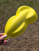 Tamco Paint Custom Color Despicable Yellow