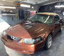 Tamco Paint Dirtbag Brown in 2004 Ford Mustang