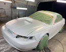 Tamco Paint Dirtbag Brown in 2004 Ford Mustang
