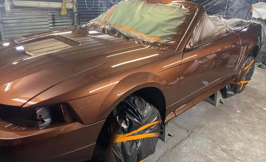 Tamco Paint Dirtbag Brown in 2004 Ford Mustang