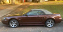 Tamco Paint Dirtbag Brown in 2004 Ford Mustang