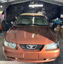 Tamco Paint Dirtbag Brown in 2004 Ford Mustang