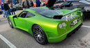 Tamco Paint Dodge Snakeskin Green Pearl in Factory 5 GTM