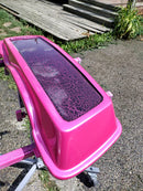 Tamco Paint Dragon Fruit Pink in Car Part