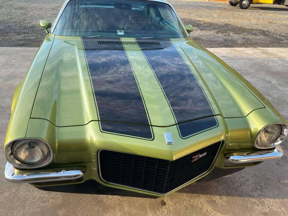 GM Citrus Green Metallic Car