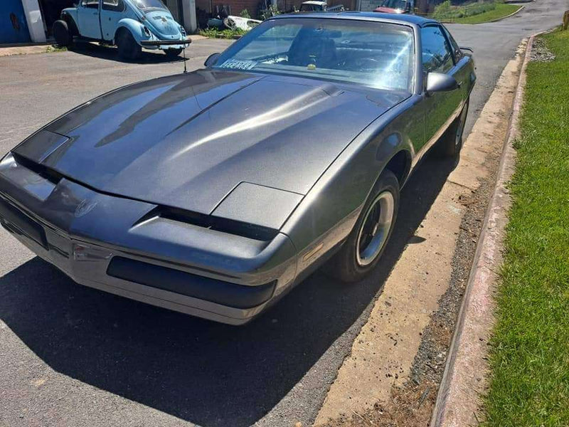 Smoke Metallic Pontiac Firebird