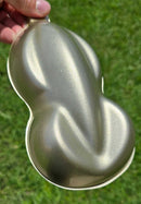 Tamco Paint Custom Color Fools Gold Speed Shape