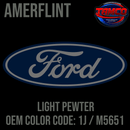Tamco Paint OEM Amerflint Ford Light Pewter Code 1J / M5651