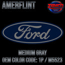 Tamco Paint Ford Medium Gray OEM Color Code: 1P / M5523 - Amerflint