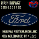Ford Natural Neutral Metallic