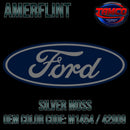 Tamco Paint Ford Silver Moss OEM Color Code: M1454 / 42909 - Amerflint