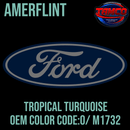Tamco Paint Ford Tropical Turquoise OEM Amerflint II Series Single Stage