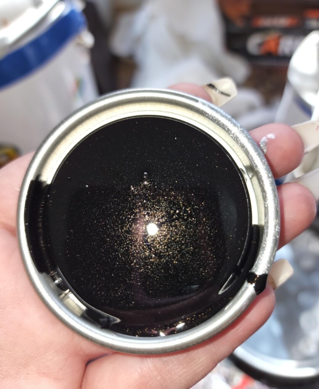 Ford Black Metallic