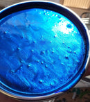 Ford Bright Dark Blue Metallic