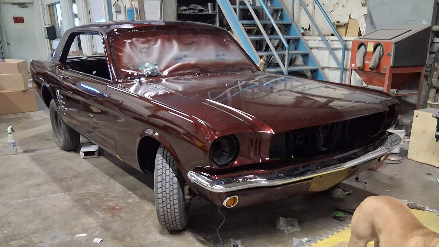Tamco Paint Ford Vintage Burgundy on 1966 Ford Mustang
