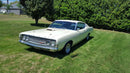 Tamco Paint Ford Wimbleton White on 1969 Ford Torino GT