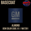 Tamco Paint GM Almond OEM Color Code: 61 / WA7391 Baseocoat