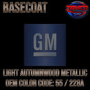 Light Autumnwood OEM Basecoat
