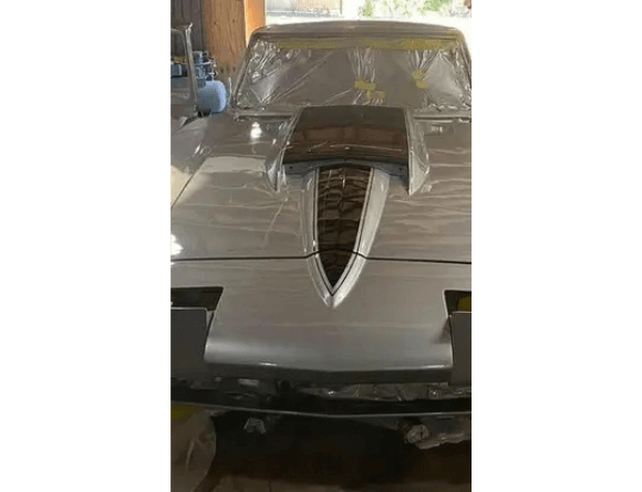 Tamco Paint GM Cortez Silver Metallic in Chevrolet Corvette