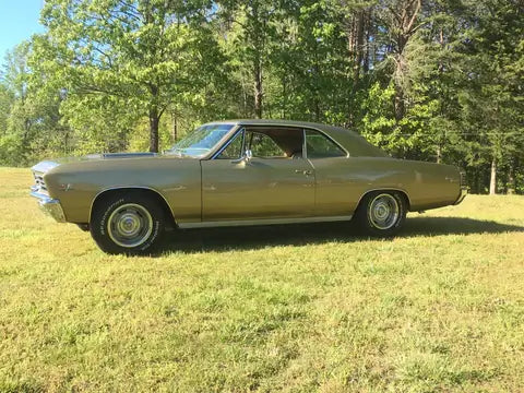 Tamco Paint GM Granada Cold Metallic on 1967 Chevrolet Chevelle