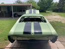 Tamco Paint GM Green Mist Metallic in 1971 Chevrolet Chevelle