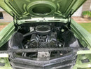 Tamco Paint GM Green Mist Metallic in 1971 Chevrolet Chevelle
