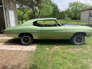 Tamco Paint GM Green Mist Metallic in 1971 Chevrolet Chevelle
