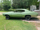 Tamco Paint GM Green Mist Metallic in 1971 Chevrolet Chevelle